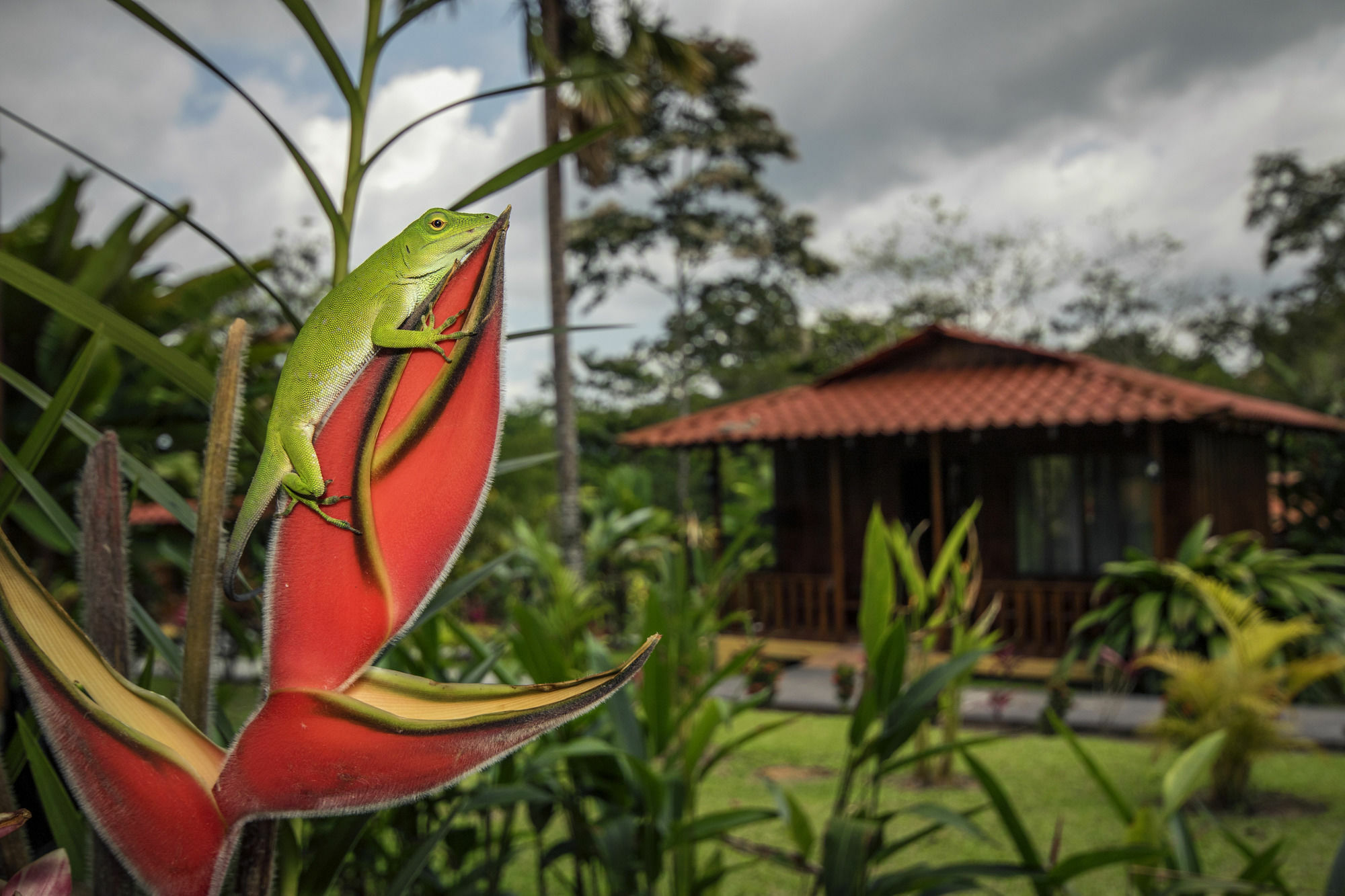 Hotel Rancho Cerro Azul La Fortuna Bagian luar foto